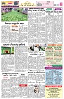 পাতা-৩